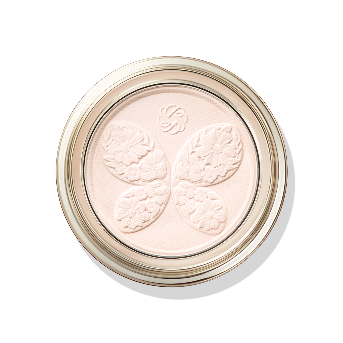 フェイスパウダー XV